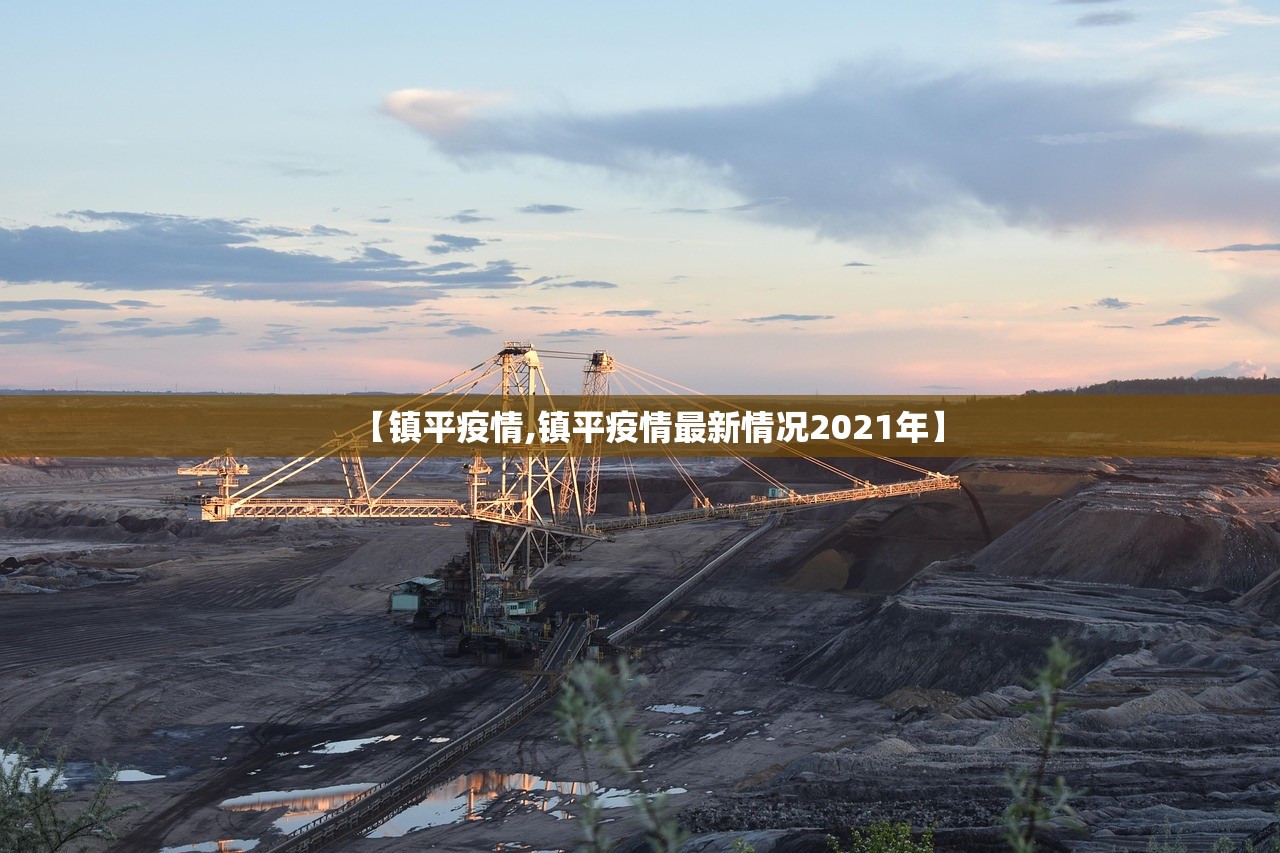 【镇平疫情,镇平疫情最新情况2021年】