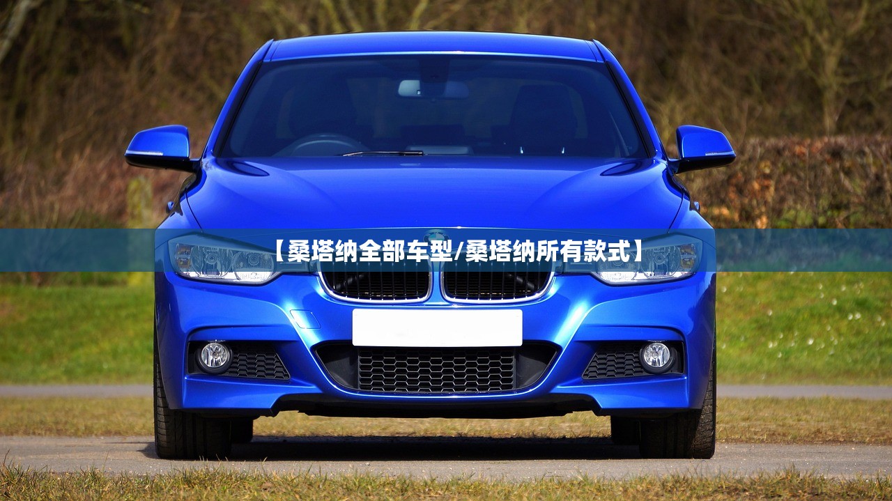 【桑塔纳全部车型/桑塔纳所有款式】