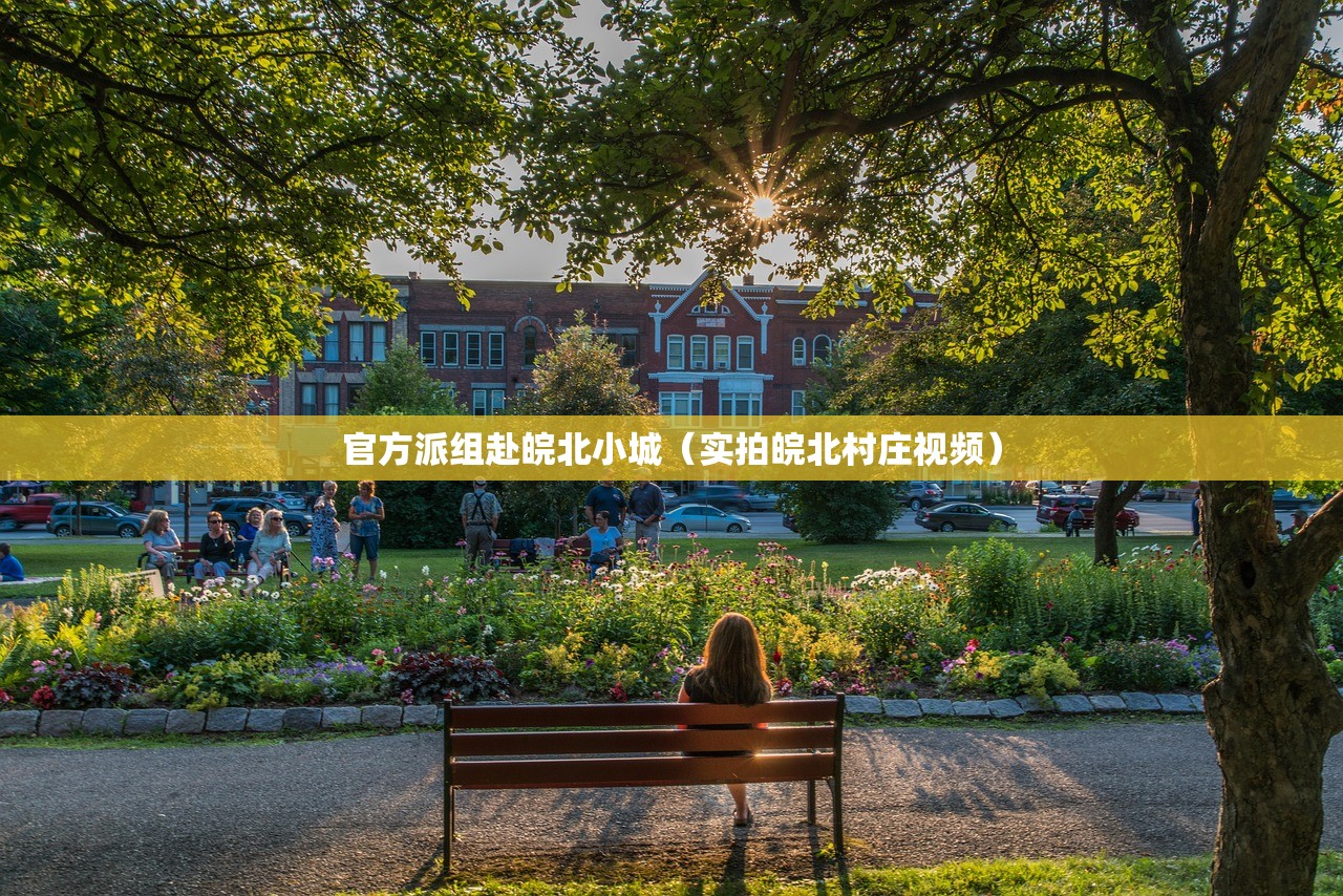 官方派组赴皖北小城（实拍皖北村庄视频）