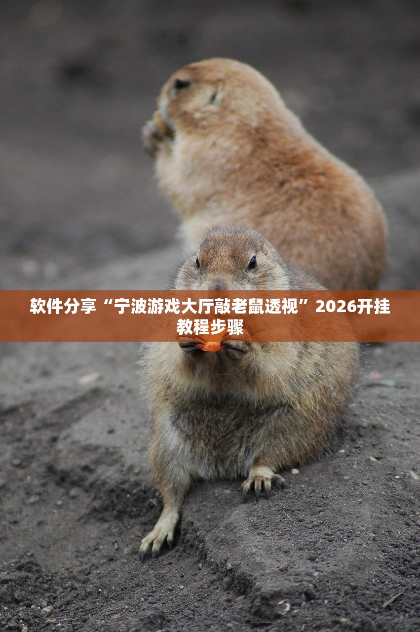 辅助神器“微乐陕西麻将免费开挂神器”(辅助神器)开挂详细教程