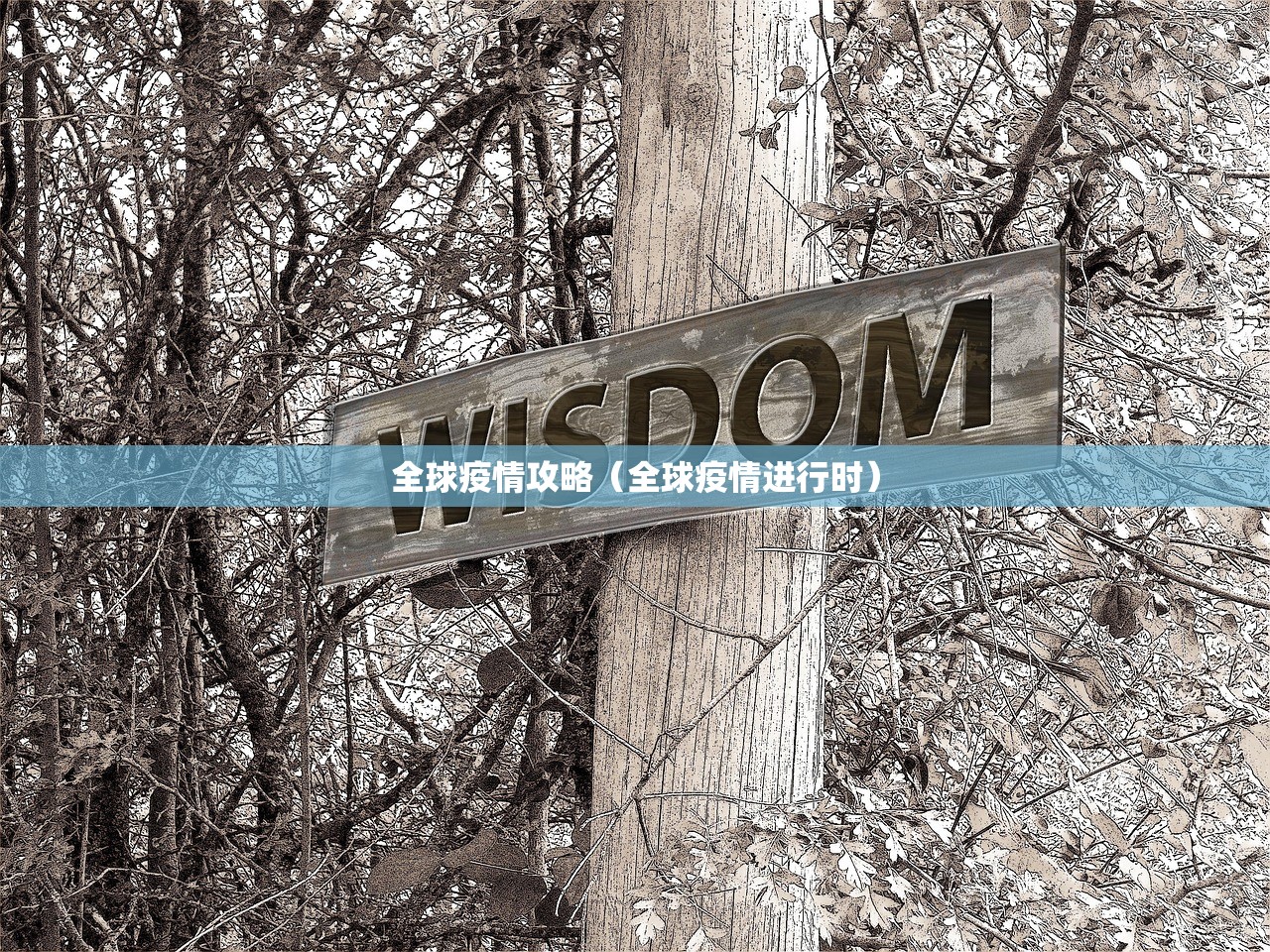 辅助神器“手机十三张辅助器”开挂(透视)辅助教程