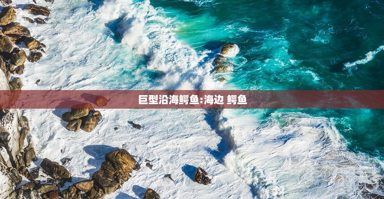 巨型沿海鳄鱼:海边 鳄鱼
