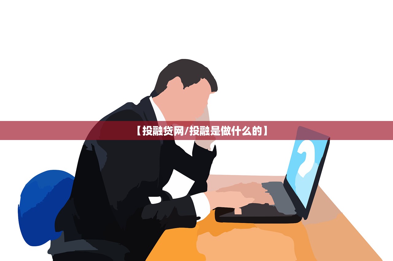 【投融贷网/投融是做什么的】