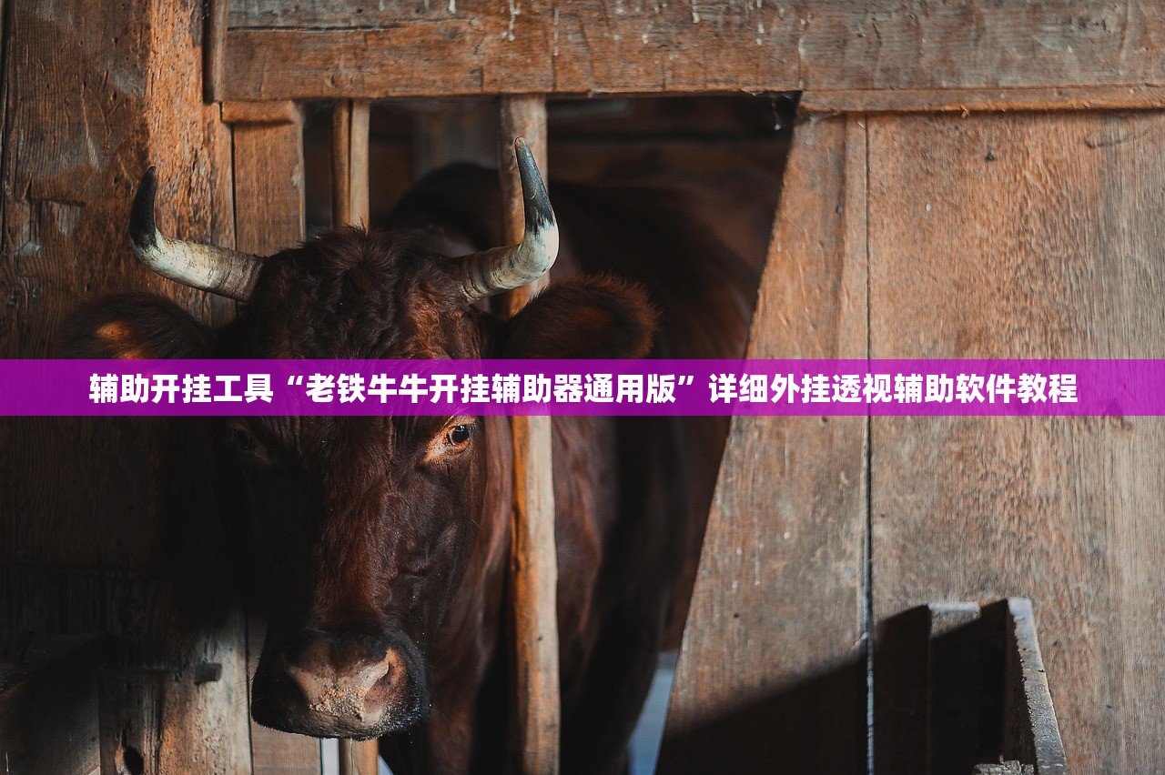 辅助神器“会友山西麻将怎么开挂”2026开挂教程步骤