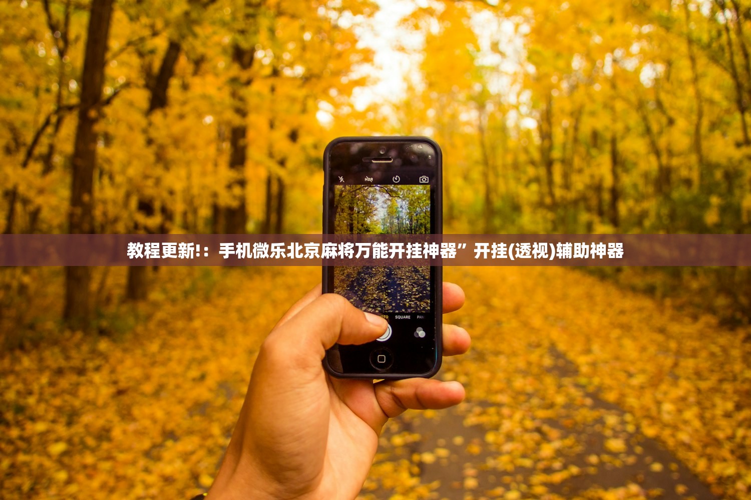 辅助开挂工具“闲来跑胡子开挂辅助器通用版”(透视)其实确实有挂