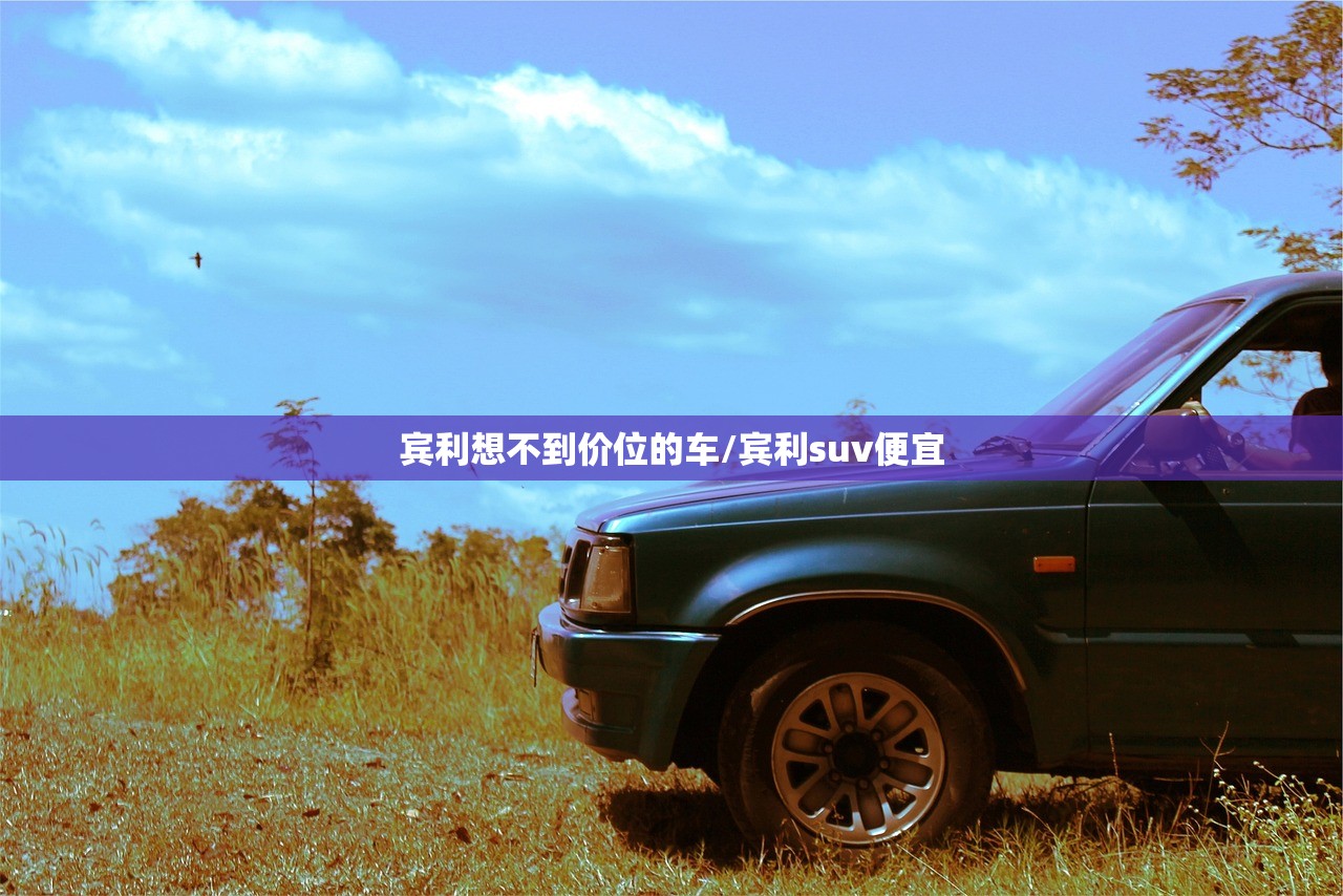 宾利想不到价位的车/宾利suv便宜