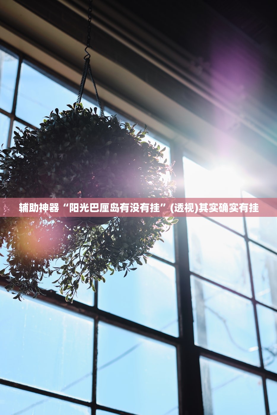 辅助神器“阳光巴厘岛有没有挂	”(透视)其实确实有挂