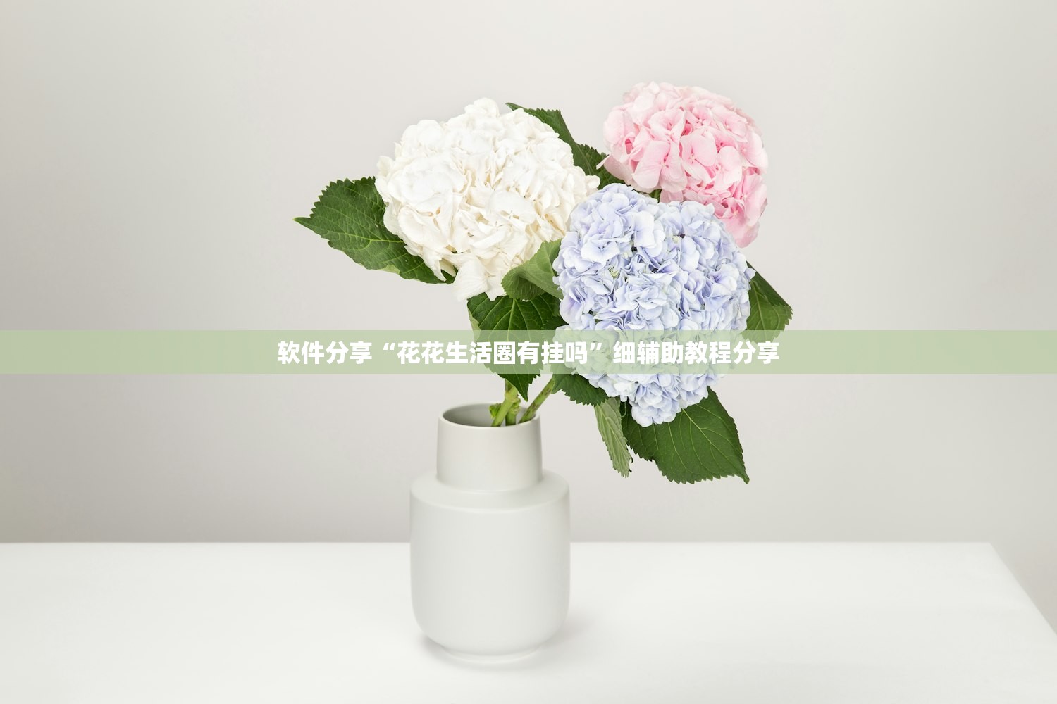 软件分享“花花生活圈有挂吗”细辅助教程分享