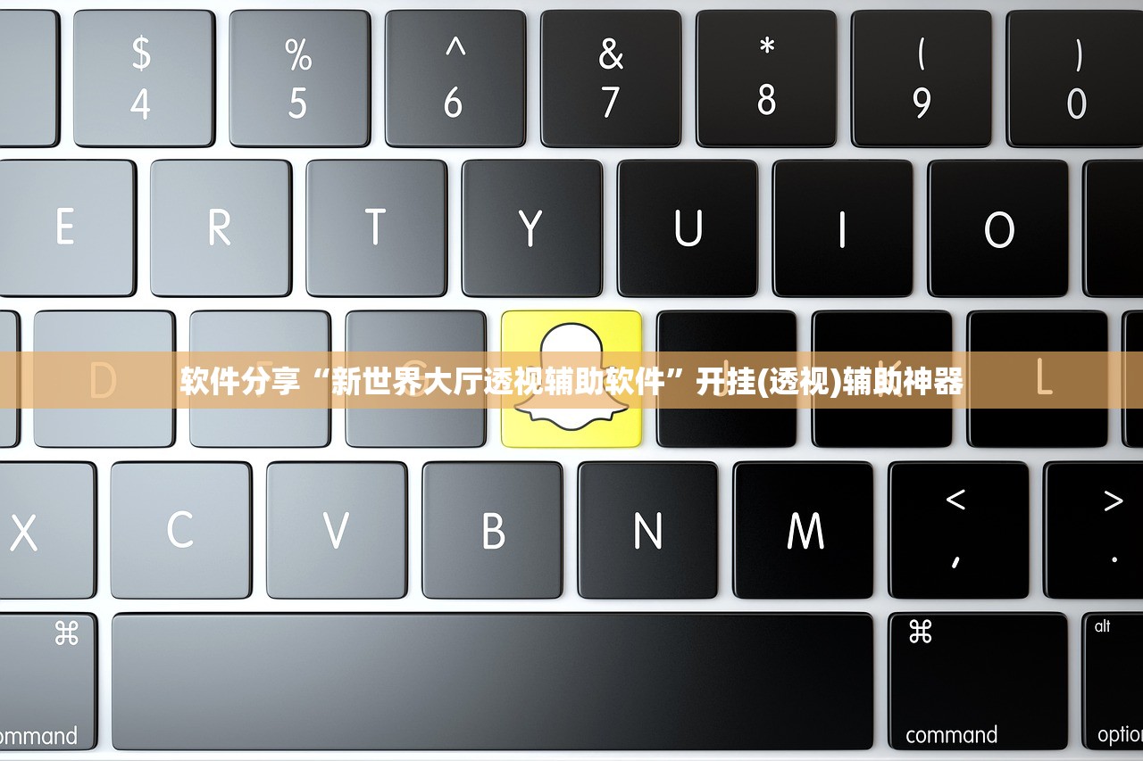软件分享“新世界大厅透视辅助软件”开挂(透视)辅助神器
