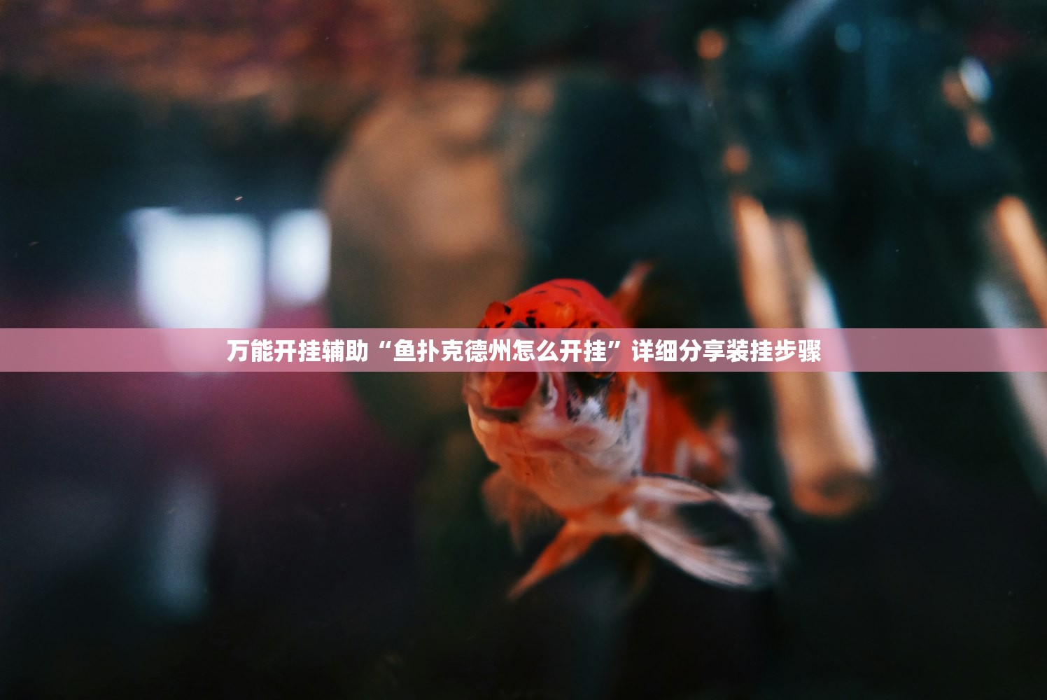 玩家辅助神器：手机三公怎么作弊免费”开挂(透视)辅助神器