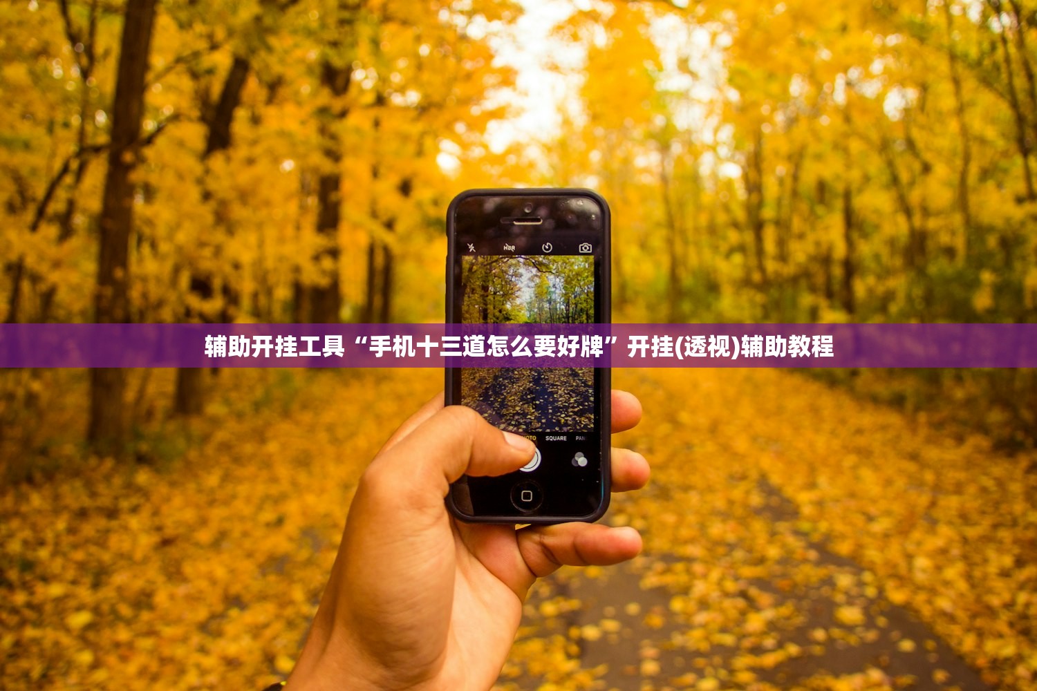 辅助开挂工具“手机十三道怎么要好牌	”开挂(透视)辅助教程