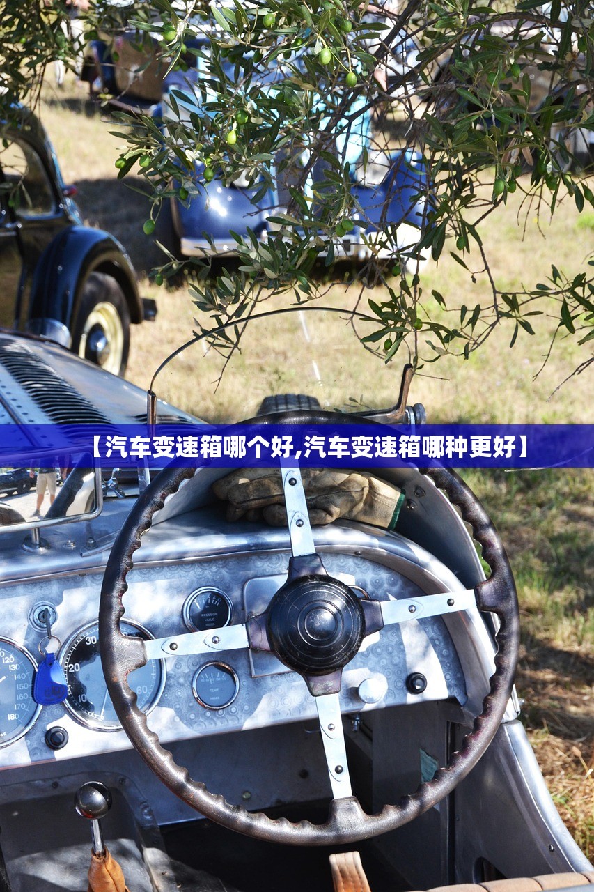 教程辅助!“哥哥跑得快外卦辅助软件下载”开挂(透视)最新辅助详细