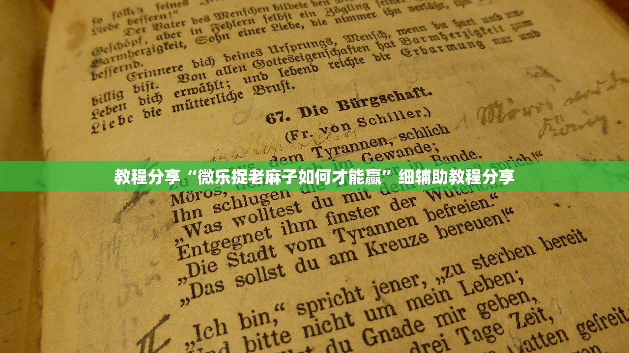 教程分享“微乐捉老麻子如何才能赢”细辅助教程分享