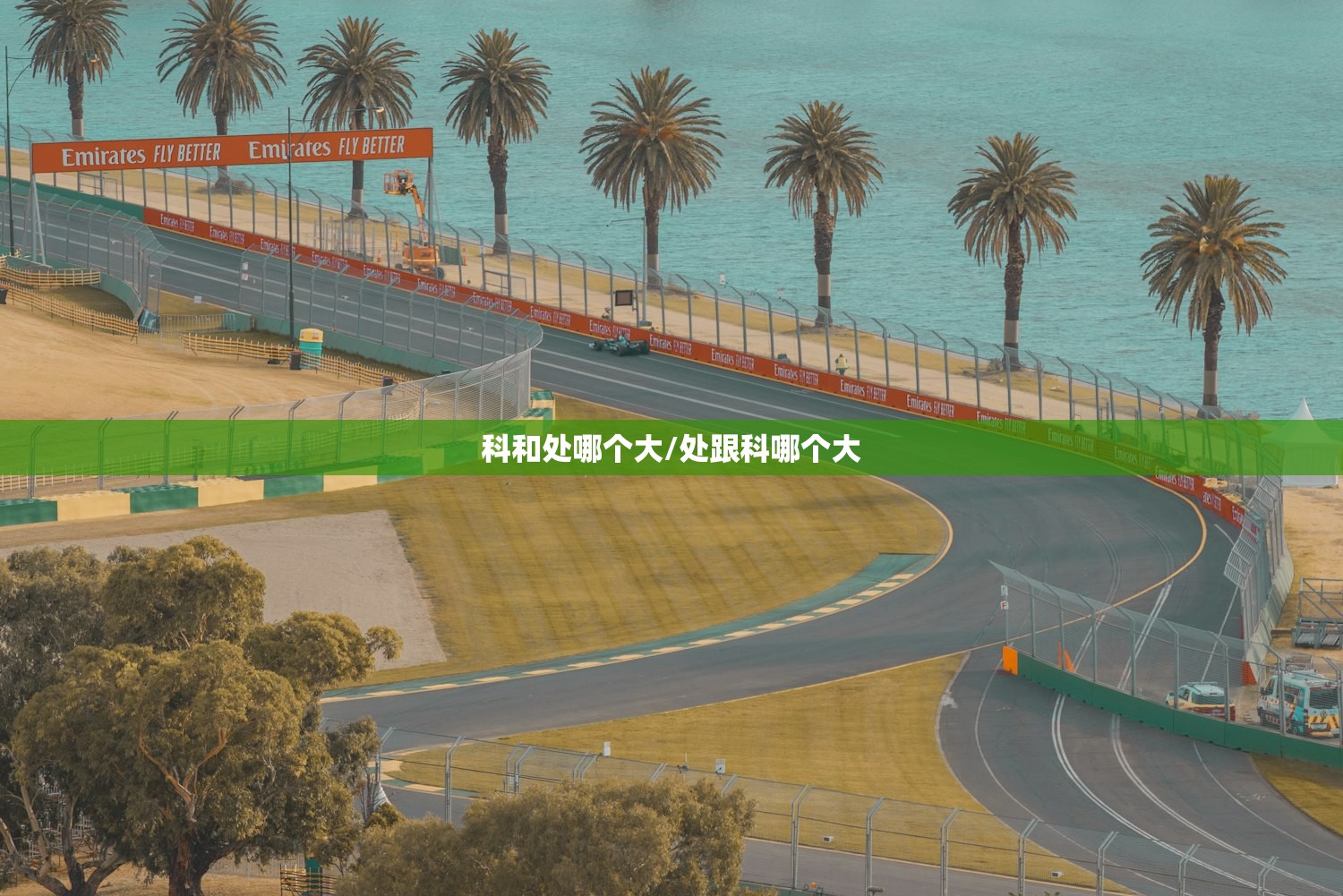 科和处哪个大/处跟科哪个大