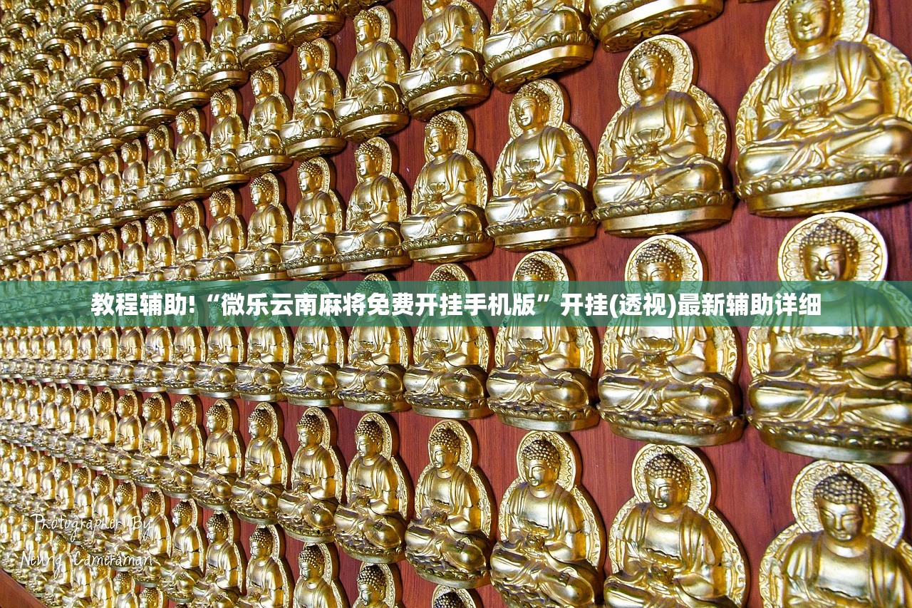 教程辅助!“微乐云南麻将免费开挂手机版”开挂(透视)最新辅助详细