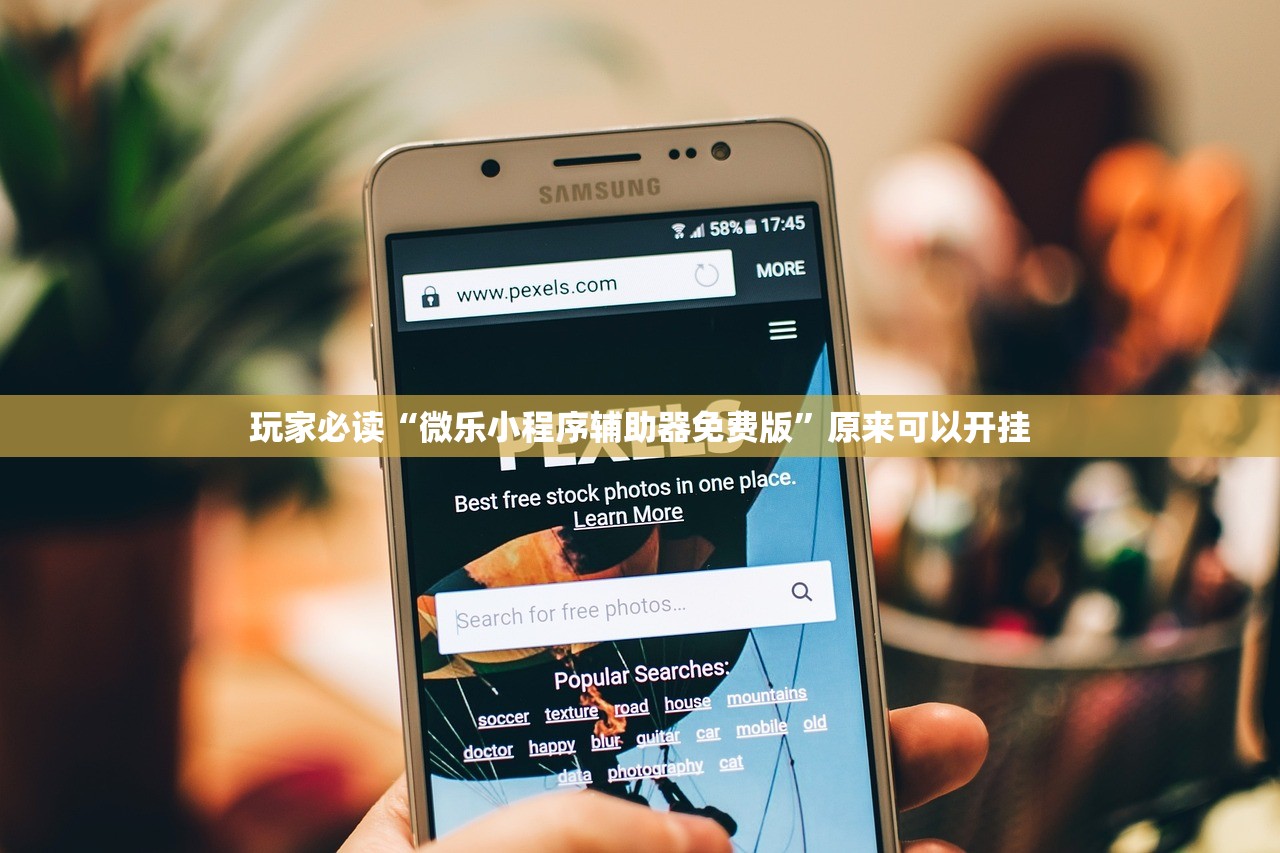 恶魔城晓月攻略/恶魔城晓月攻略大全最新章节免费阅读
