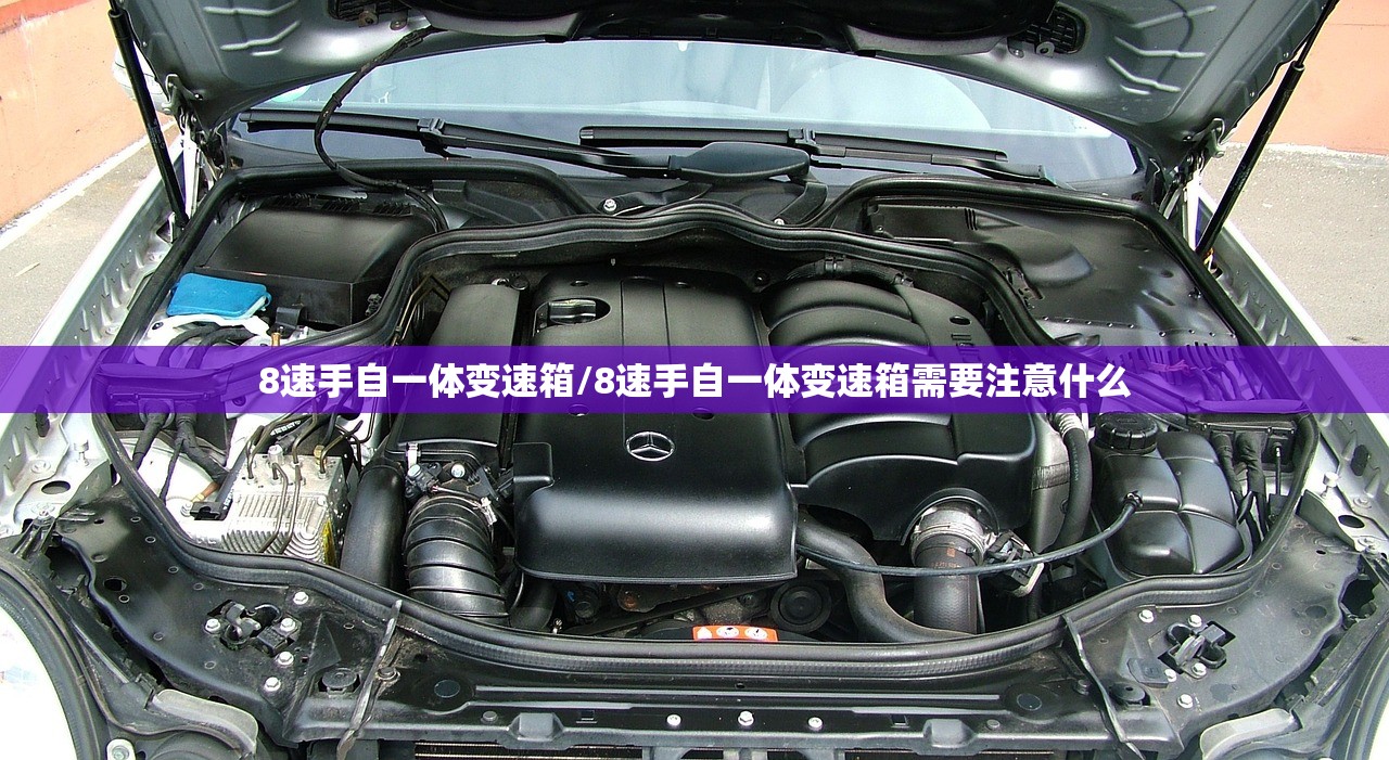 推荐一款“超凡大厅透视”科技辅助神器手机版