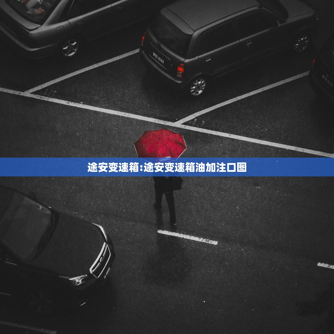 推荐一款“微信跑胡子技巧”开挂(透视)辅助教程