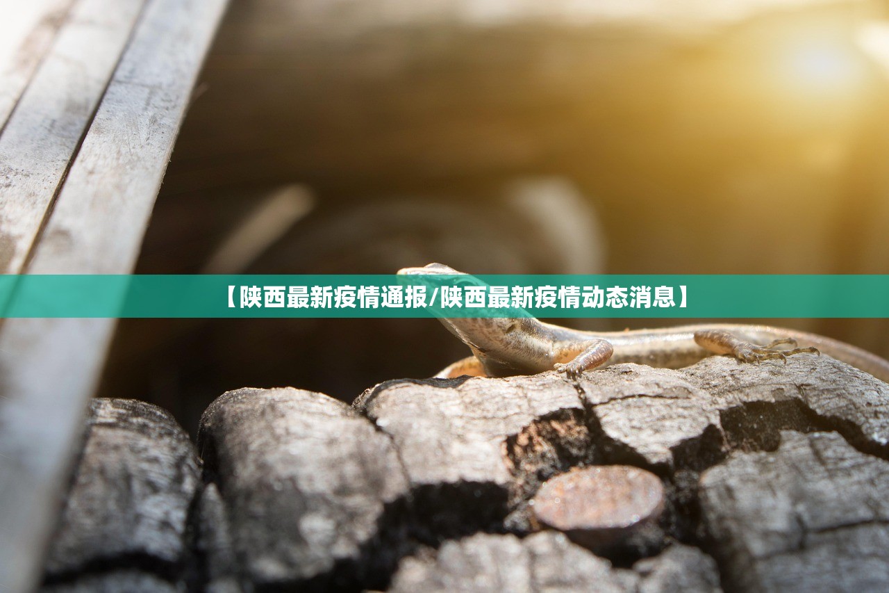 玩家必读“熊猫水水13张外卦辅助软件下载”原来可以开挂