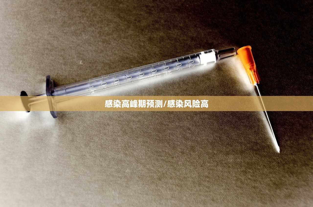 感染高峰期预测/感染风险高