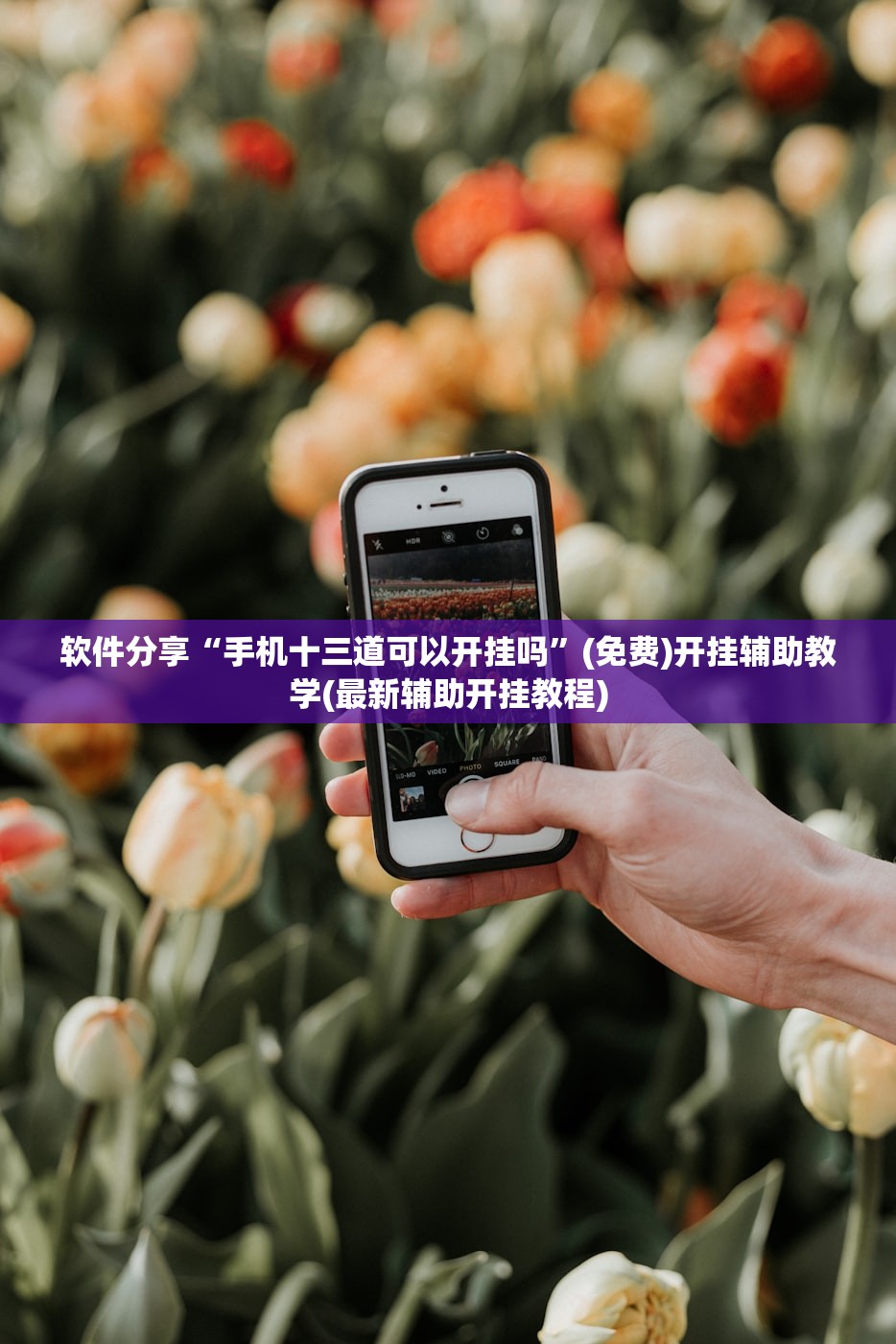 31省区市新增16例境外输入病例/31省区市新增境外输入确诊16例