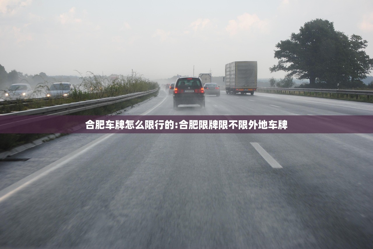 合肥车牌怎么限行的:合肥限牌限不限外地车牌