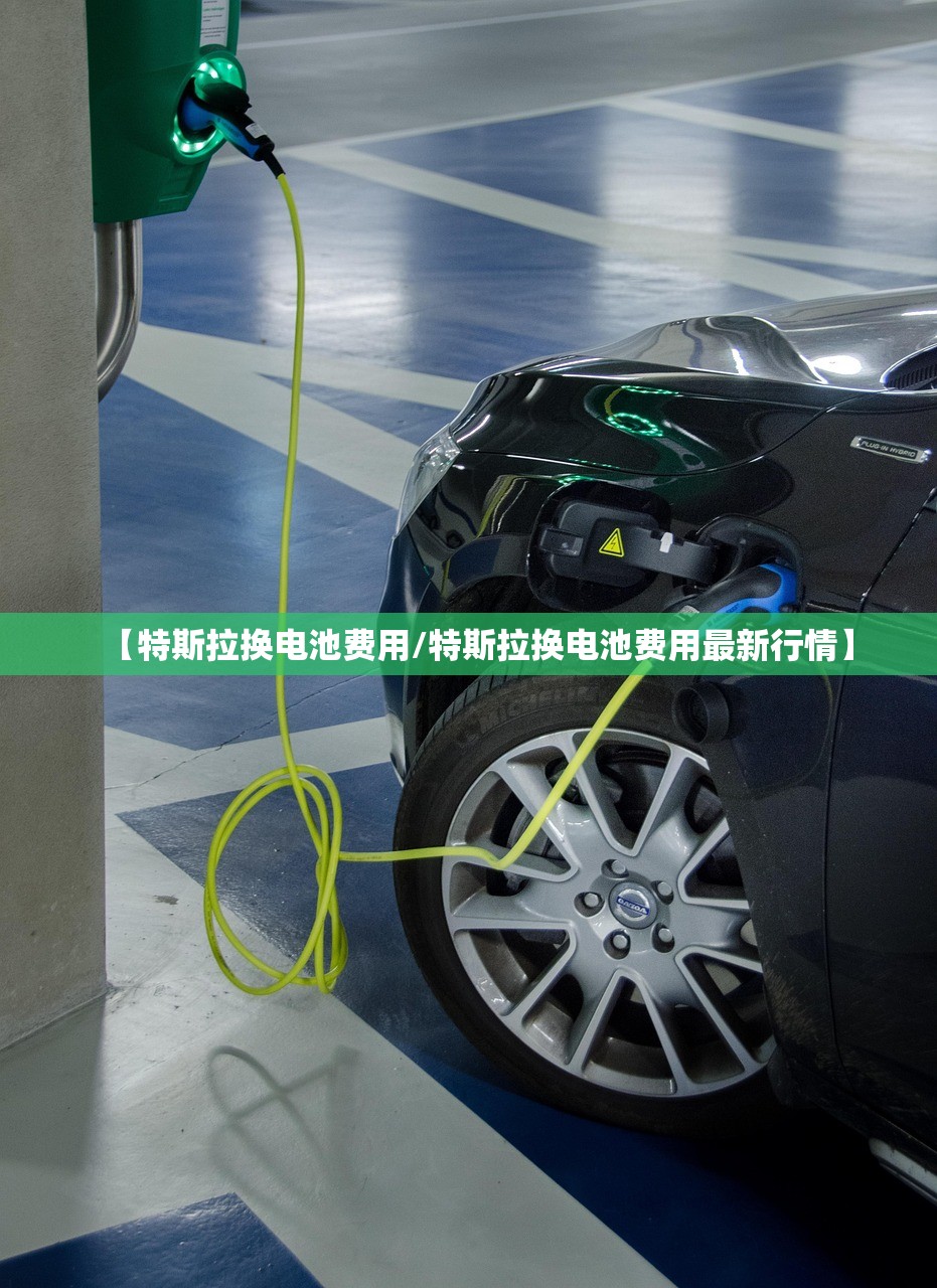 一键必胜“微乐海南麻将怎么提高胜率”开挂(透视)辅助神器