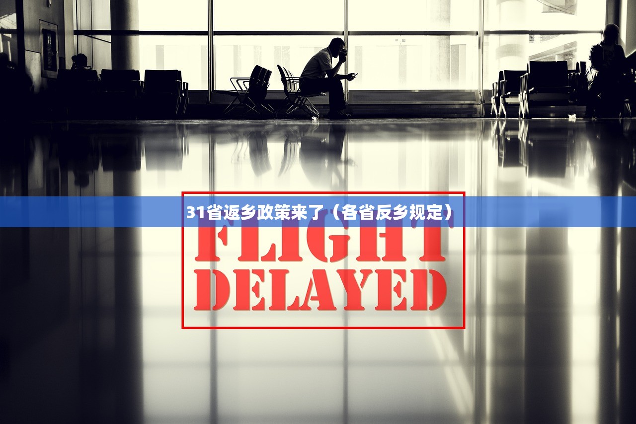 31省返乡政策来了（各省反乡规定）