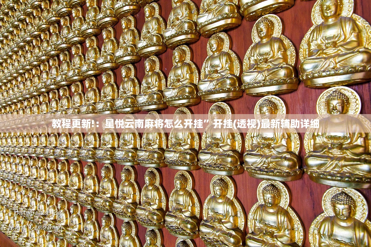教程更新!：星悦云南麻将怎么开挂”开挂(透视)最新辅助详细