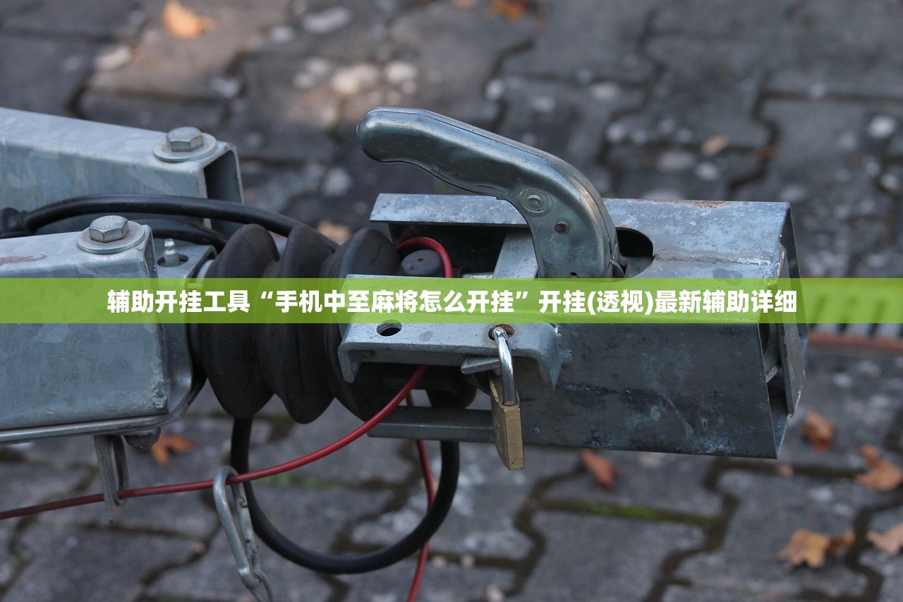 辅助开挂工具“手机中至麻将怎么开挂”开挂(透视)最新辅助详细