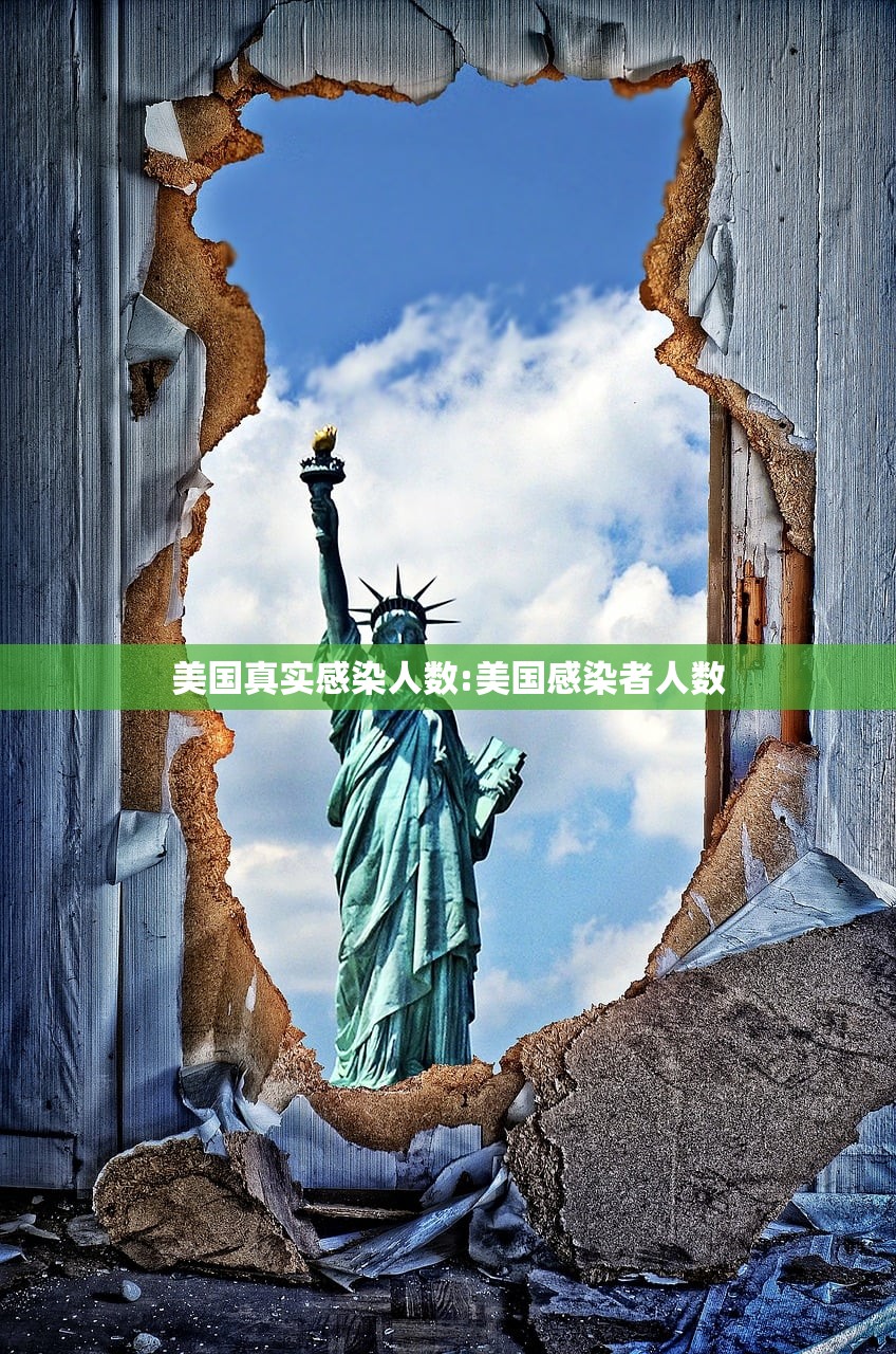 美国真实感染人数:美国感染者人数