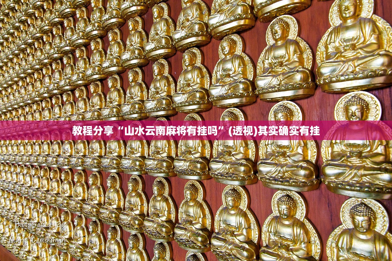 【秦皇岛限行抓拍路段地图,秦皇岛限行线路】