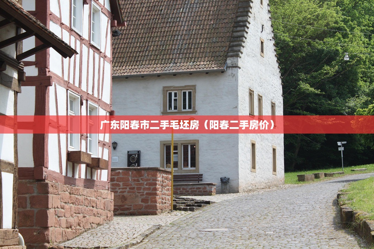 广东阳春市二手毛坯房（阳春二手房价）