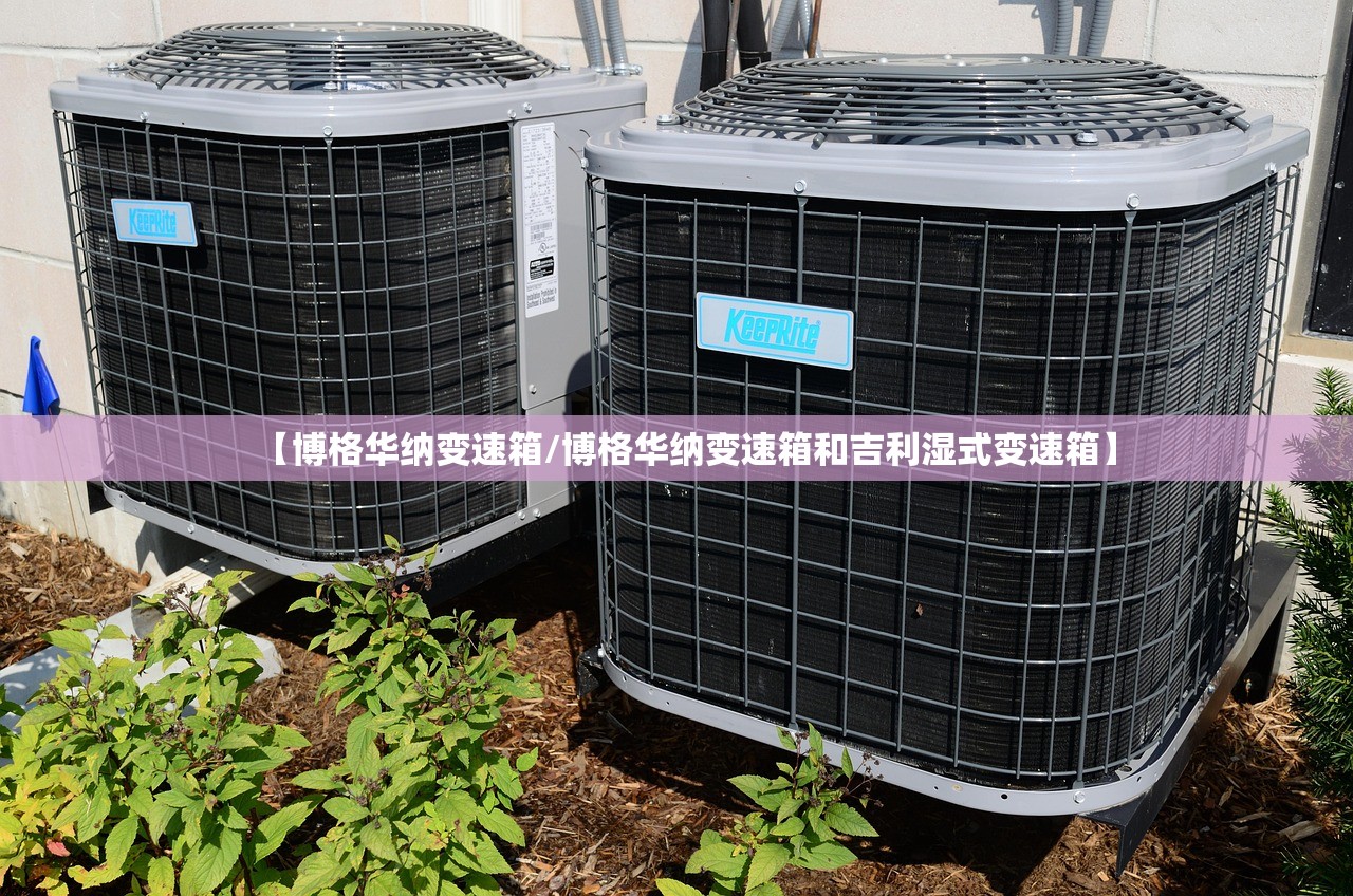 【博格华纳变速箱/博格华纳变速箱和吉利湿式变速箱】