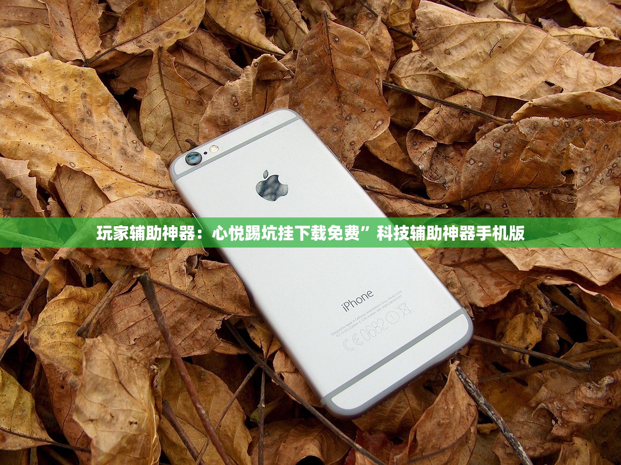 玩家辅助神器：心悦踢坑挂下载免费	”科技辅助神器手机版