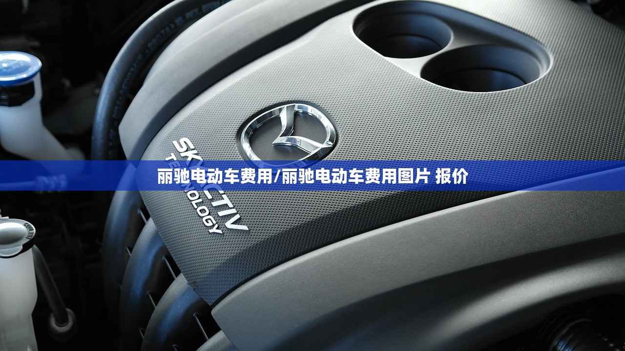 丽驰电动车费用/丽驰电动车费用图片 报价