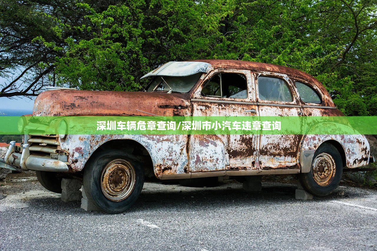 深圳车辆危章查询/深圳市小汽车违章查询