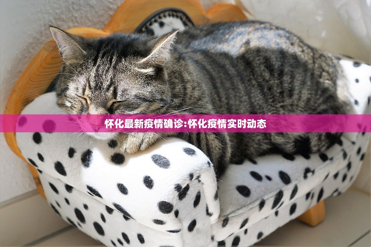 怀化最新疫情确诊:怀化疫情实时动态