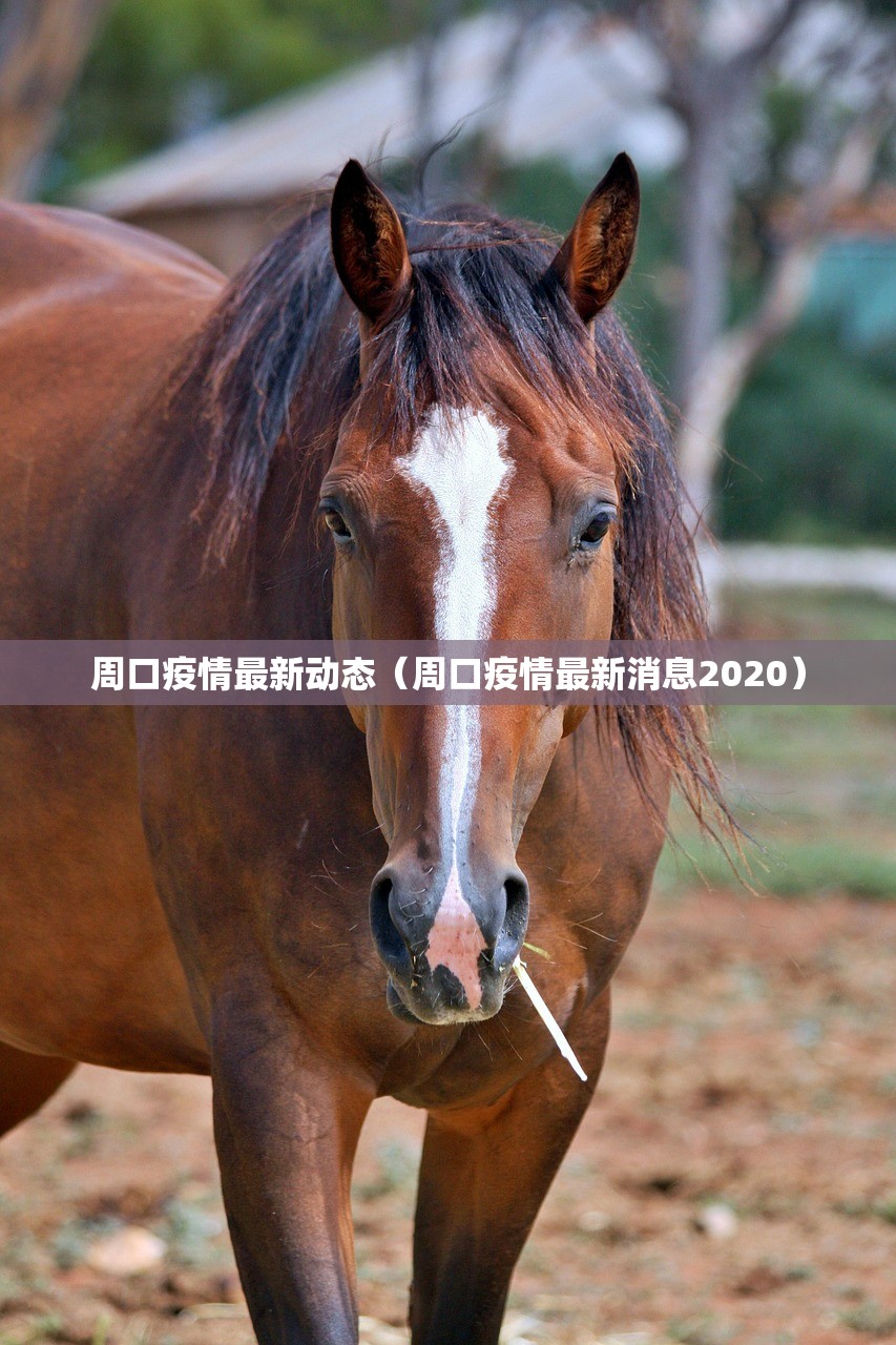 周口疫情最新动态（周口疫情最新消息2020）