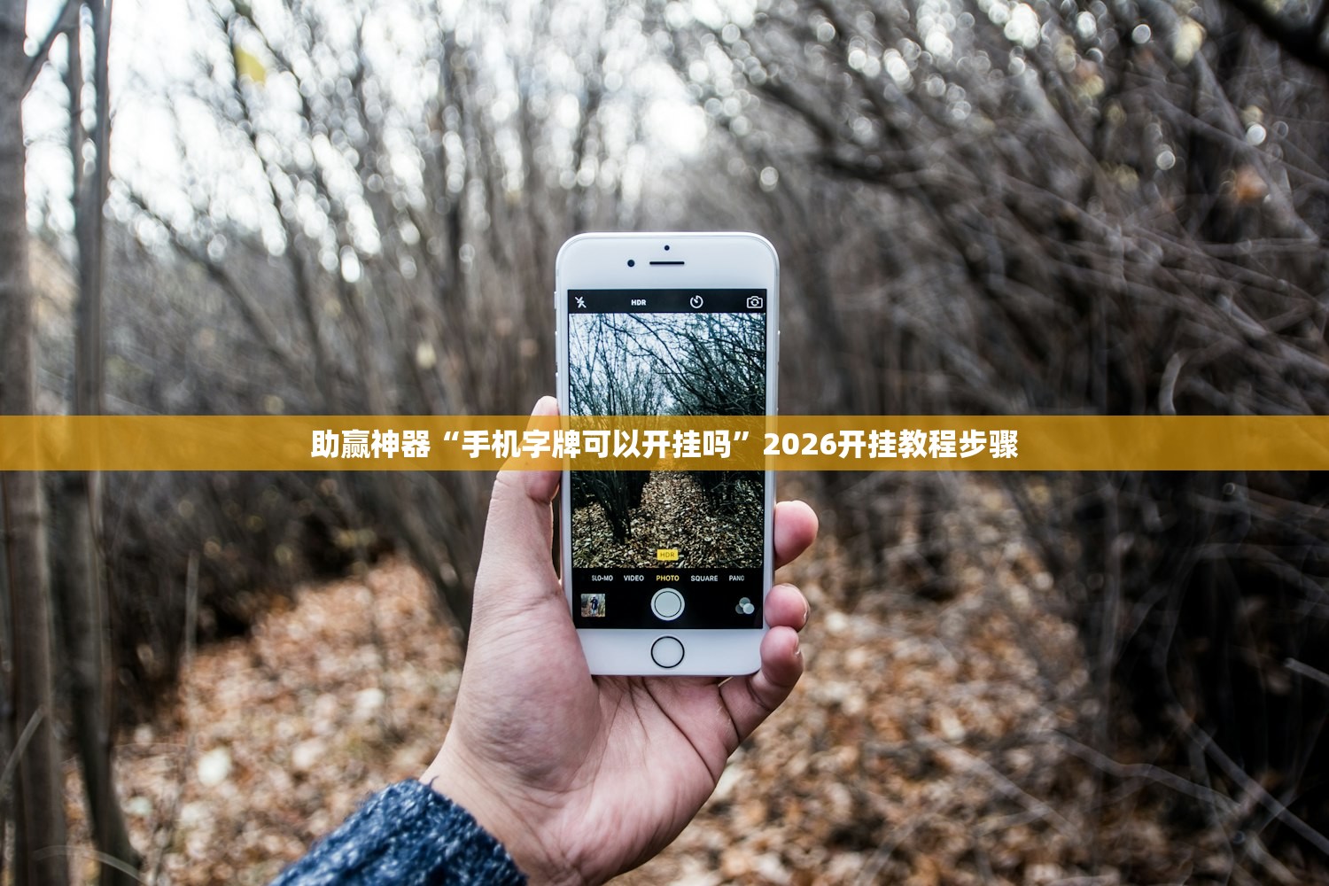 助赢神器“手机字牌可以开挂吗”2026开挂教程步骤