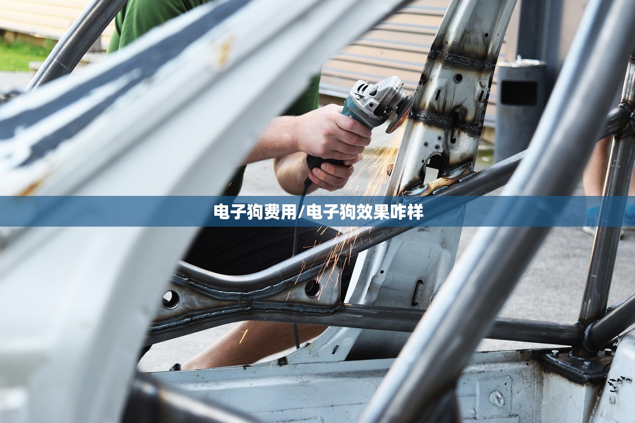 电子狗费用/电子狗效果咋样