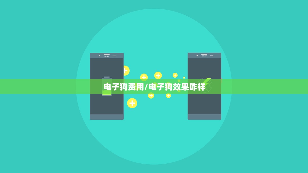 电子狗费用/电子狗效果咋样