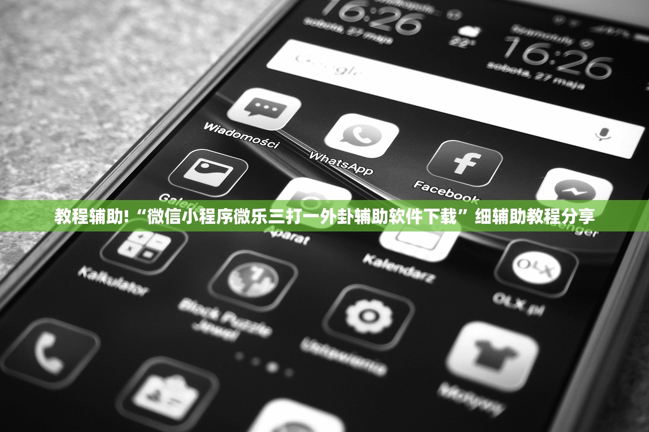 教程辅助!“微信小程序微乐三打一外卦辅助软件下载”细辅助教程分享
