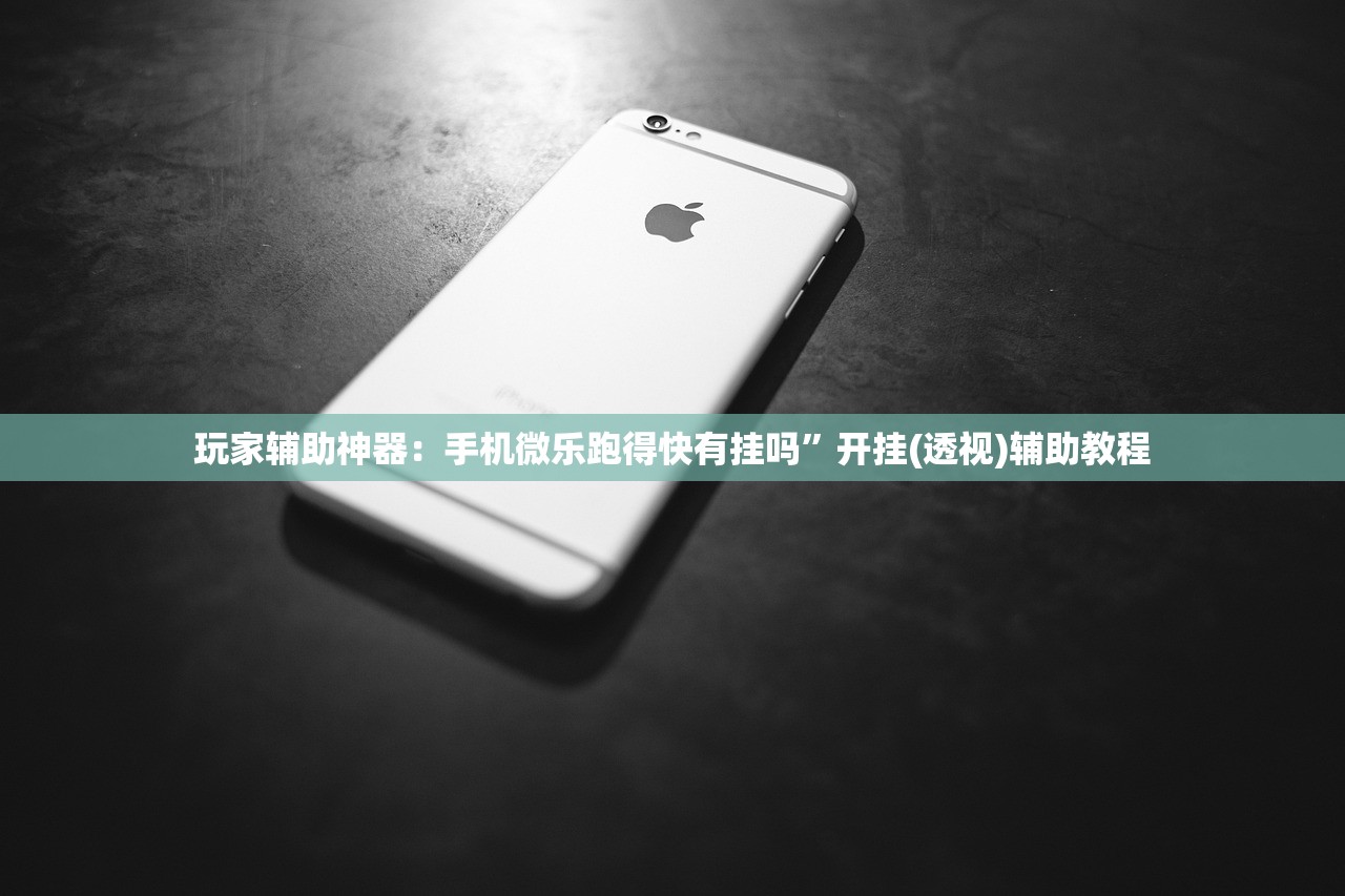 玩家辅助神器：手机微乐跑得快有挂吗	”开挂(透视)辅助教程