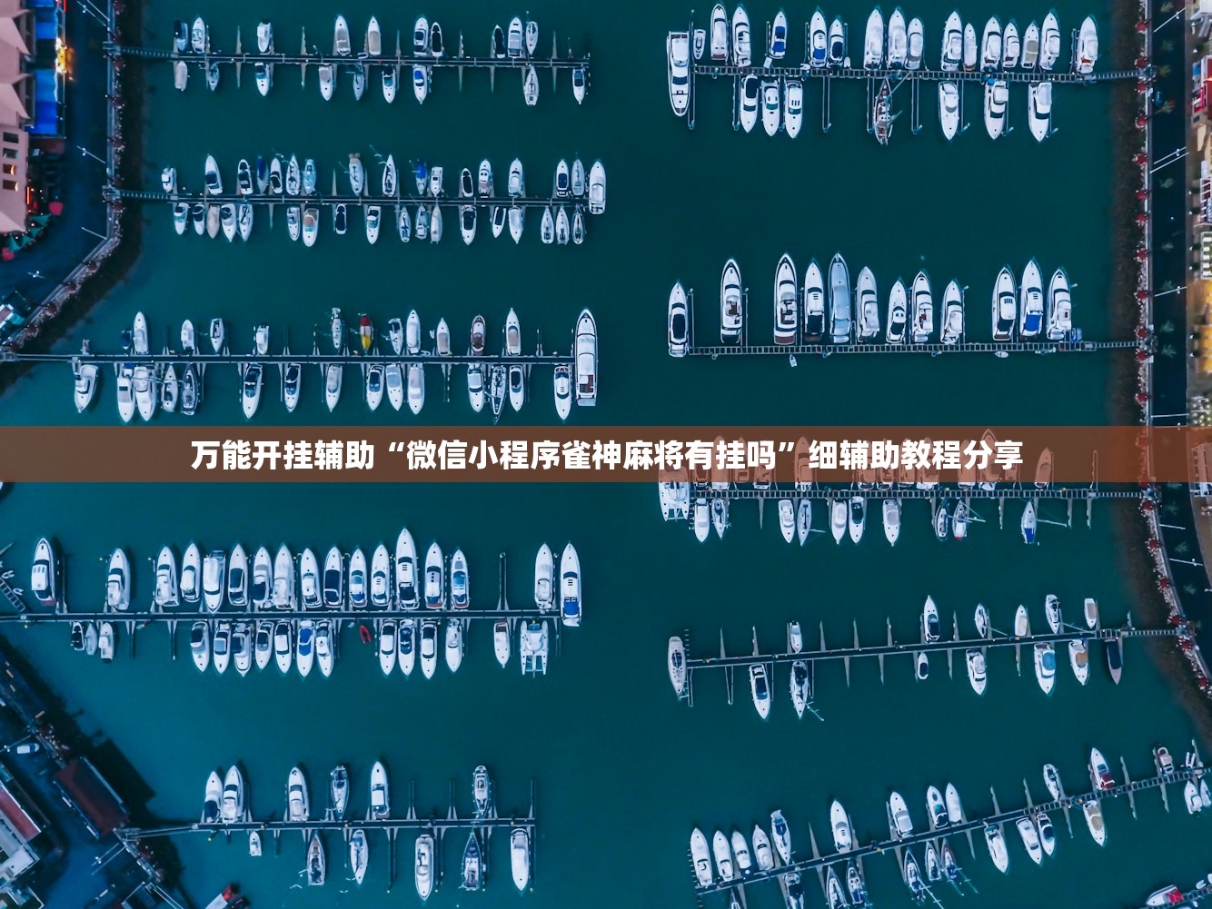 使用分享!闲逸斗地主透视挂免费版”其实确实有挂