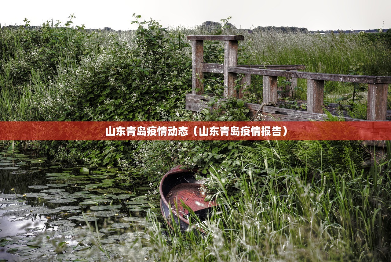 山东青岛疫情动态（山东青岛疫情报告）