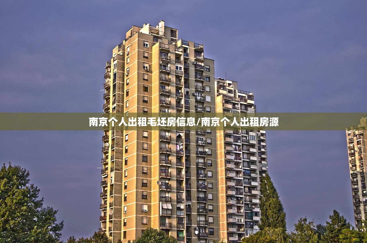 南京个人出租毛坯房信息/南京个人出租房源