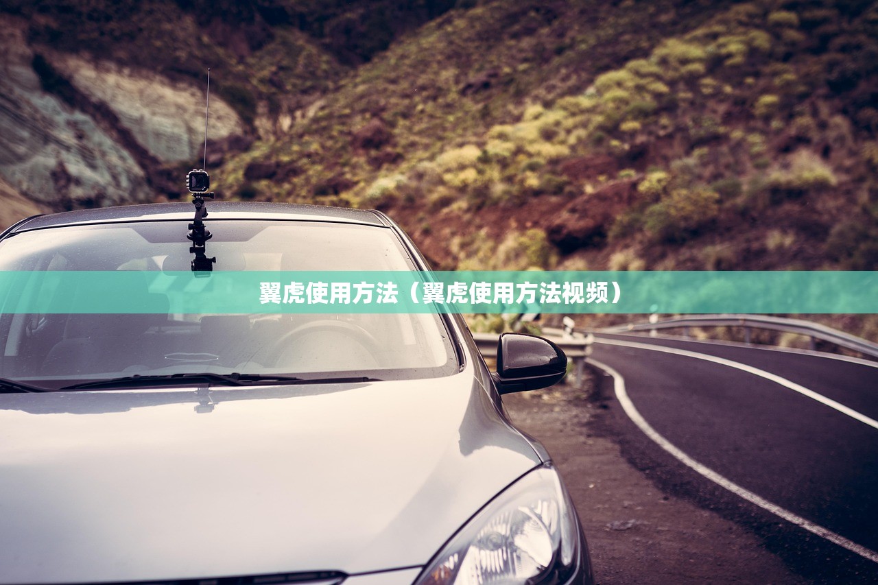 翼虎使用方法（翼虎使用方法视频）