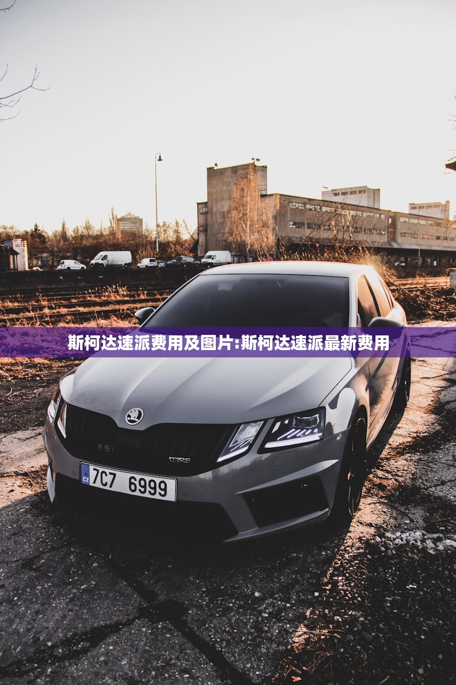 斯柯达速派费用及图片:斯柯达速派最新费用