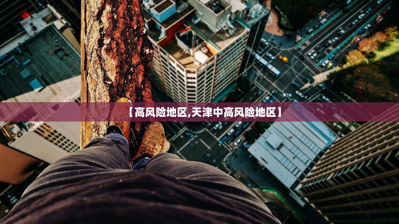 【高风险地区,天津中高风险地区】